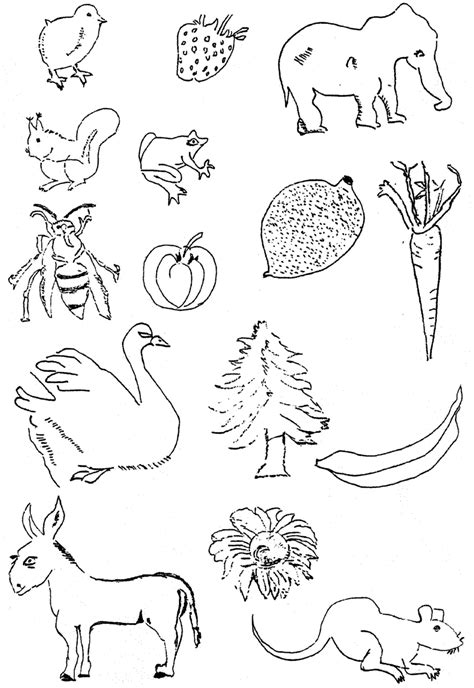 drawing of living things|Drawing Living Things Worksheet .